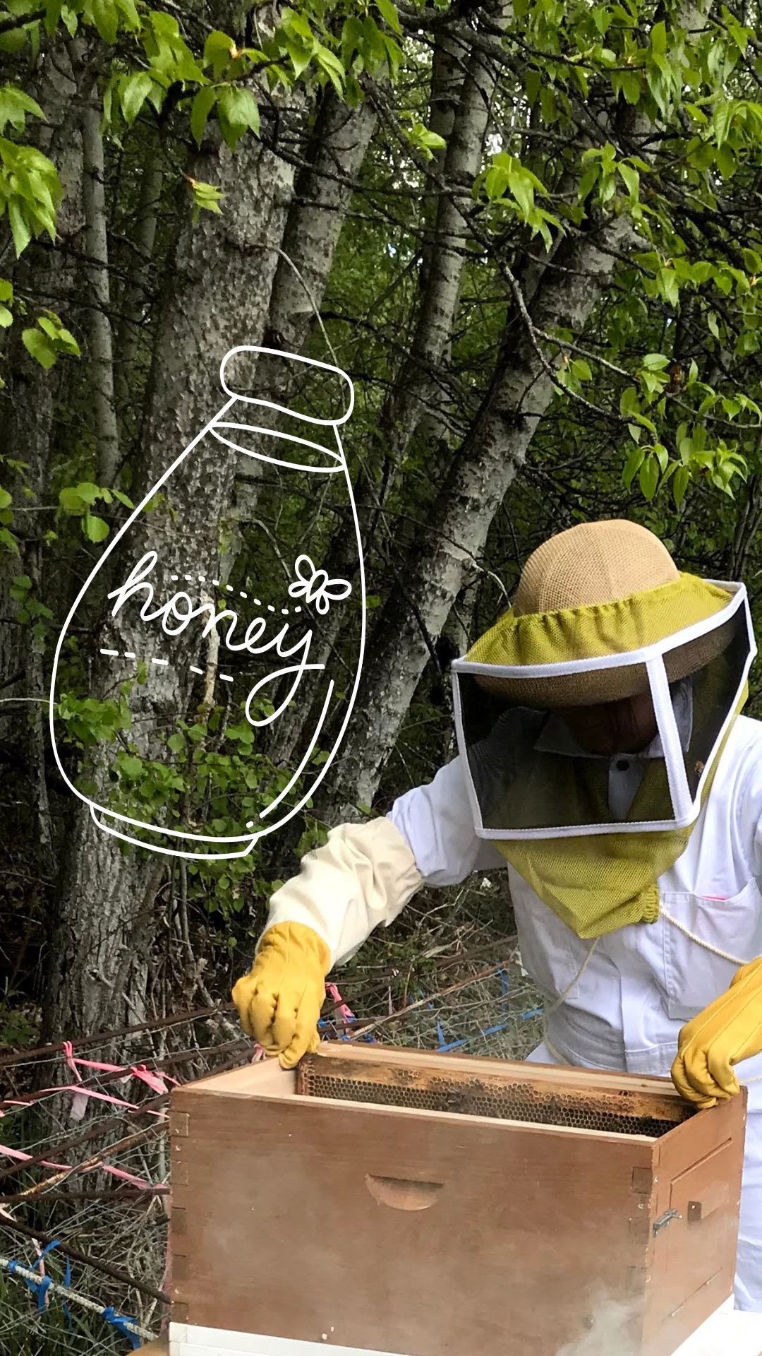 Is honey just sugar? The answer might surprise you 🐝🍯