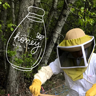 Is honey just sugar? The answer might surprise you 🐝🍯