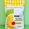90 Count — Lemon-Lime Sorbet Gut Health Gummies