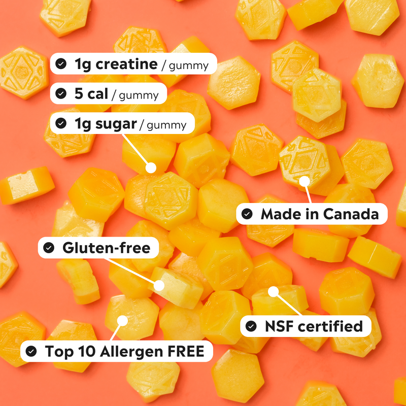 10-Pack — Creatine Monohydrate Gummies