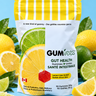 90 Count — Lemon-Lime Sorbet Gut Health Gummies